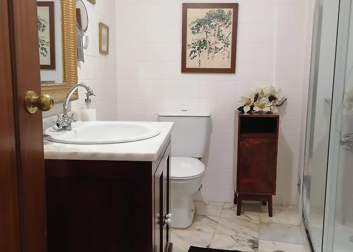 Ladeira Centro 丰沙尔