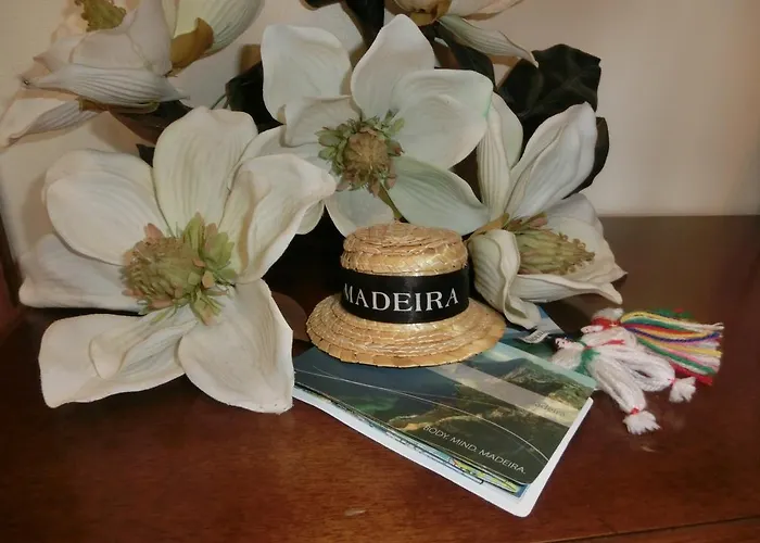 公寓 Ladeira Centro 丰沙尔